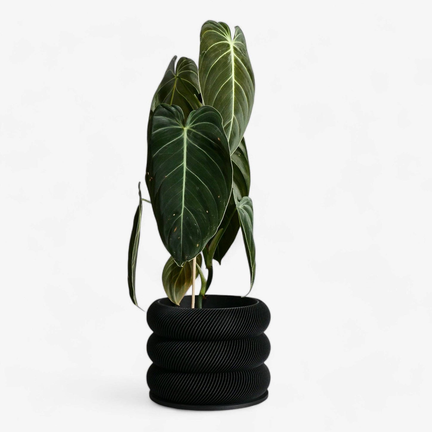 Textuur houten plantenpot - BUBBLES