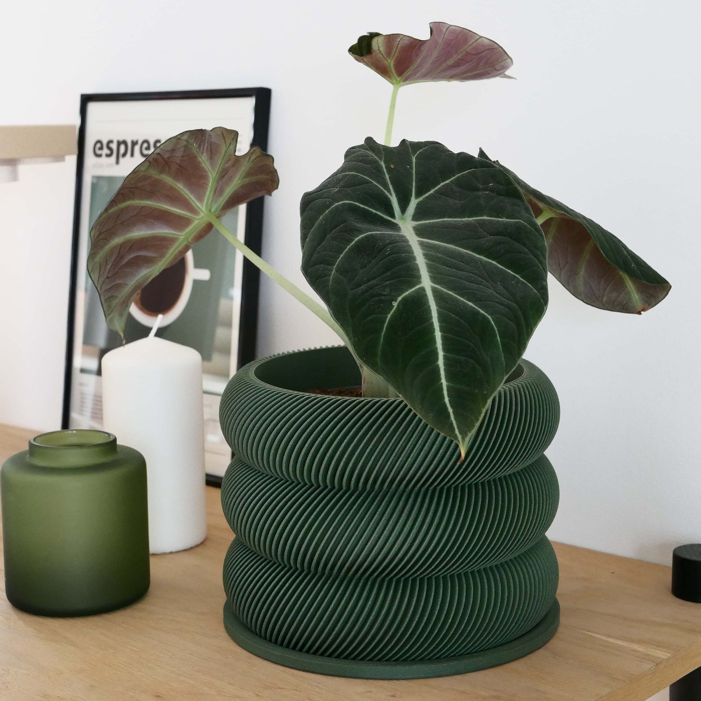 Textuur houten plantenpot - BUBBLES
