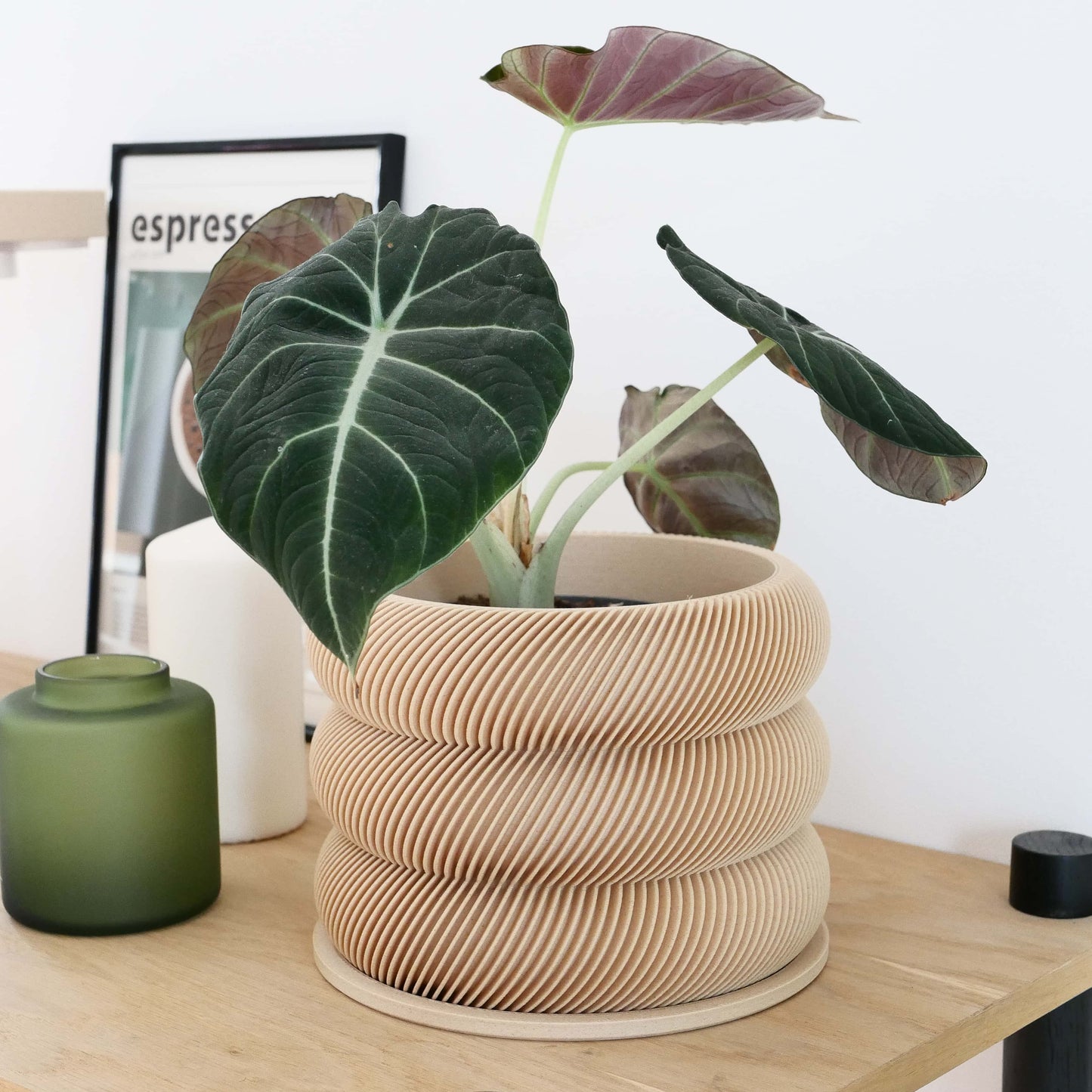 Textuur houten plantenpot - BUBBLES