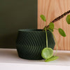 Unieke binnen plantenpot - Beige, zwart, groen, wit, terracotta - DISSIPAT