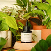 Neem Oil Serum