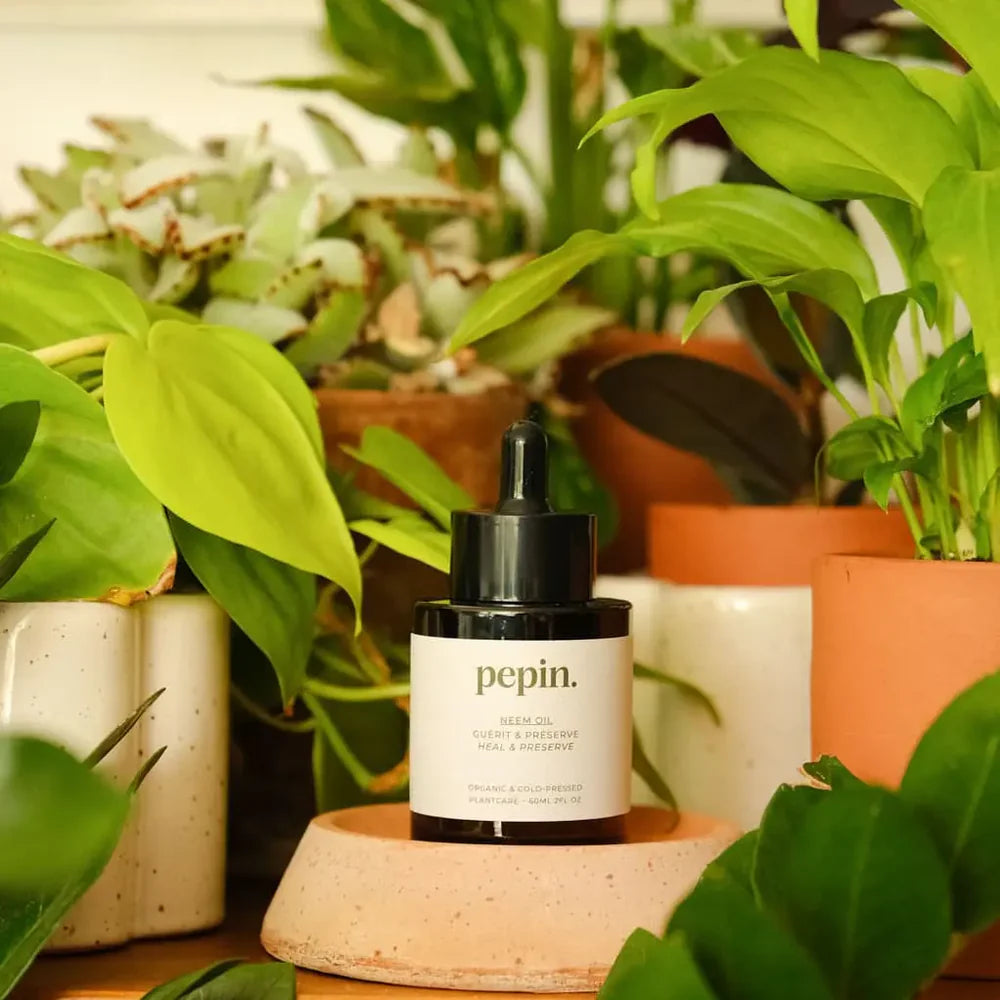 Neem Oil Serum
