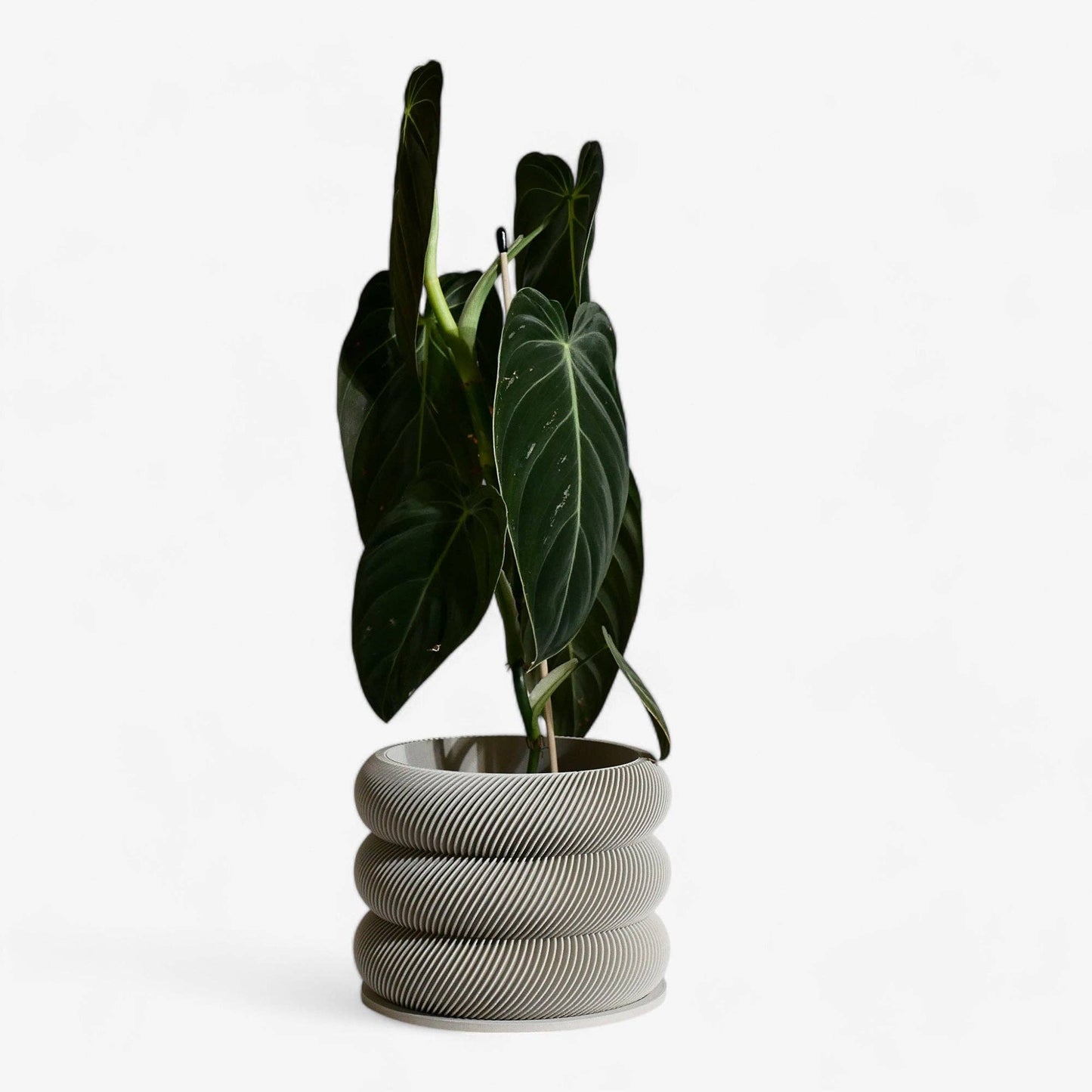 Textuur houten plantenpot - BUBBLES