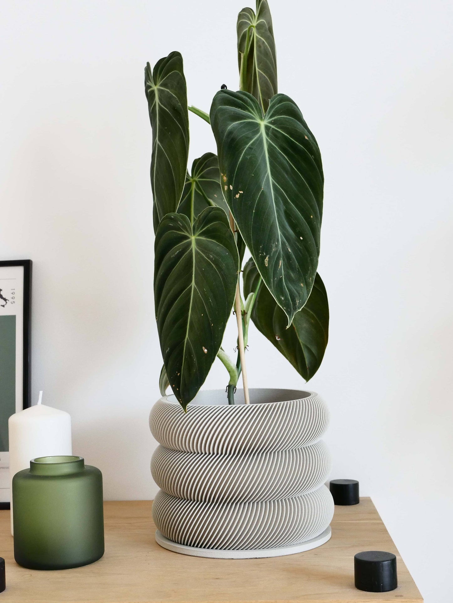Textuur houten plantenpot - BUBBLES