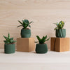 Set van 4 groene kleine binnenpotten – Oslo, Origami, Kobe, Stockholm
