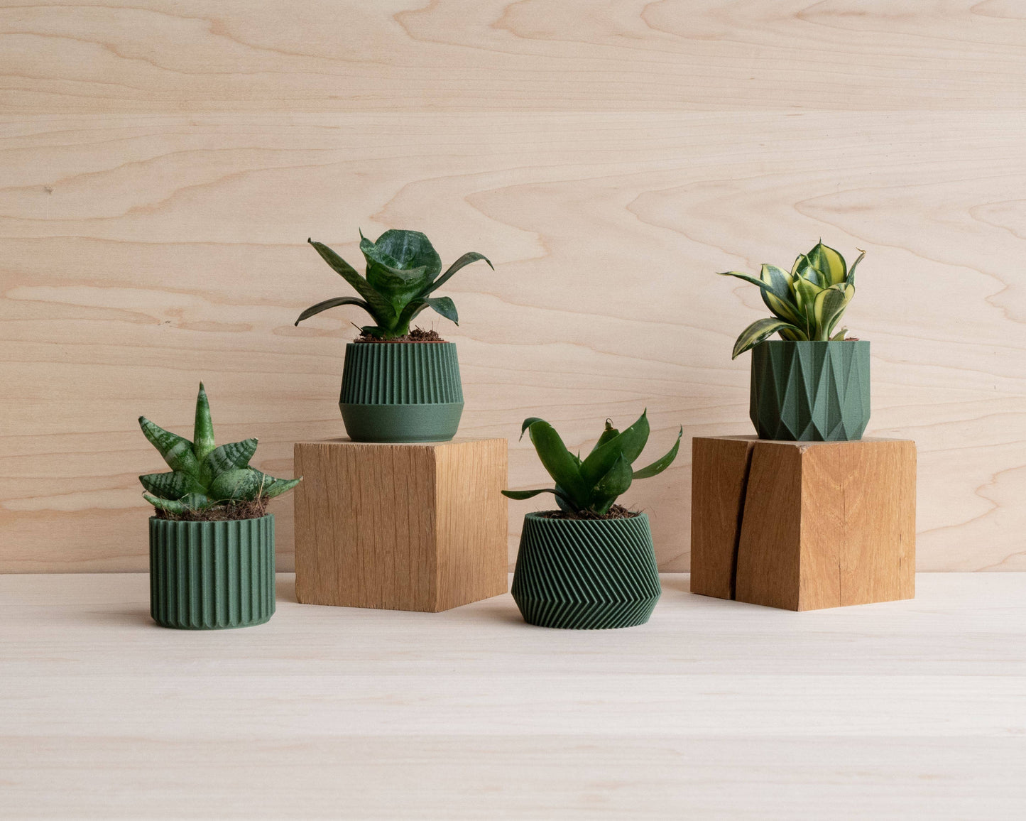 Set van 4 groene kleine binnenpotten – Oslo, Origami, Kobe, Stockholm