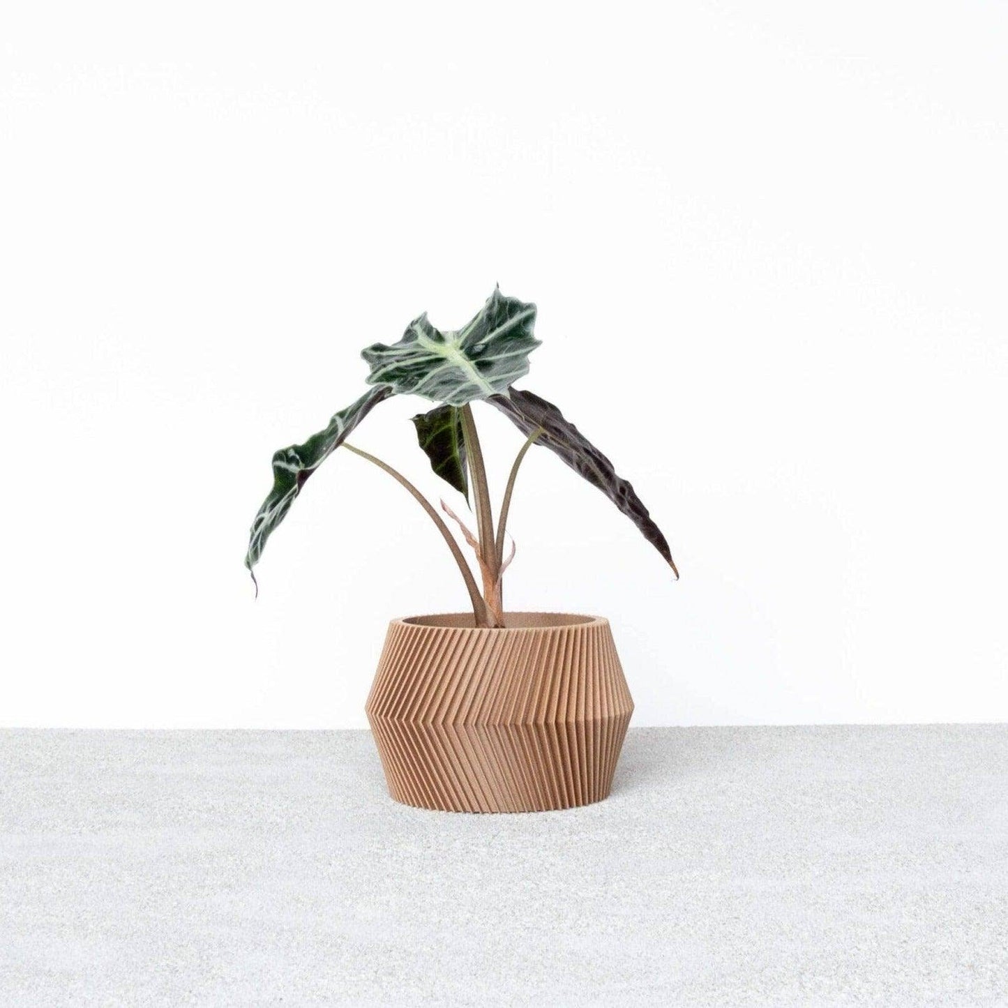 Unieke binnen plantenpot - Beige, zwart, groen, wit, terracotta - DISSIPAT