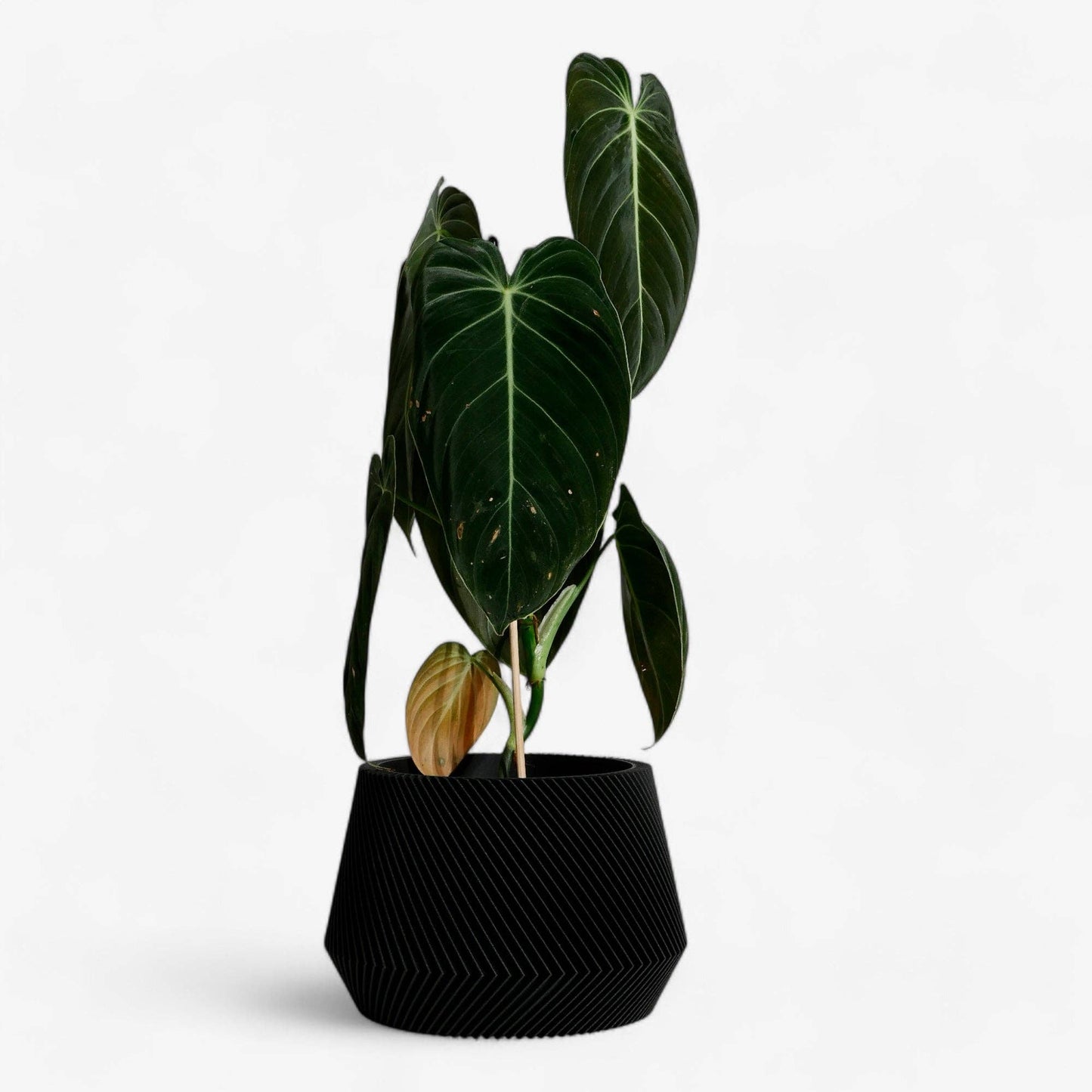 Geometrische houten plantenbak OSLO, ideaal voor groene planten