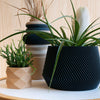 Geometrische houten plantenbak OSLO, ideaal voor groene planten