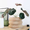 Textuur houten plantenpot - BUBBLES