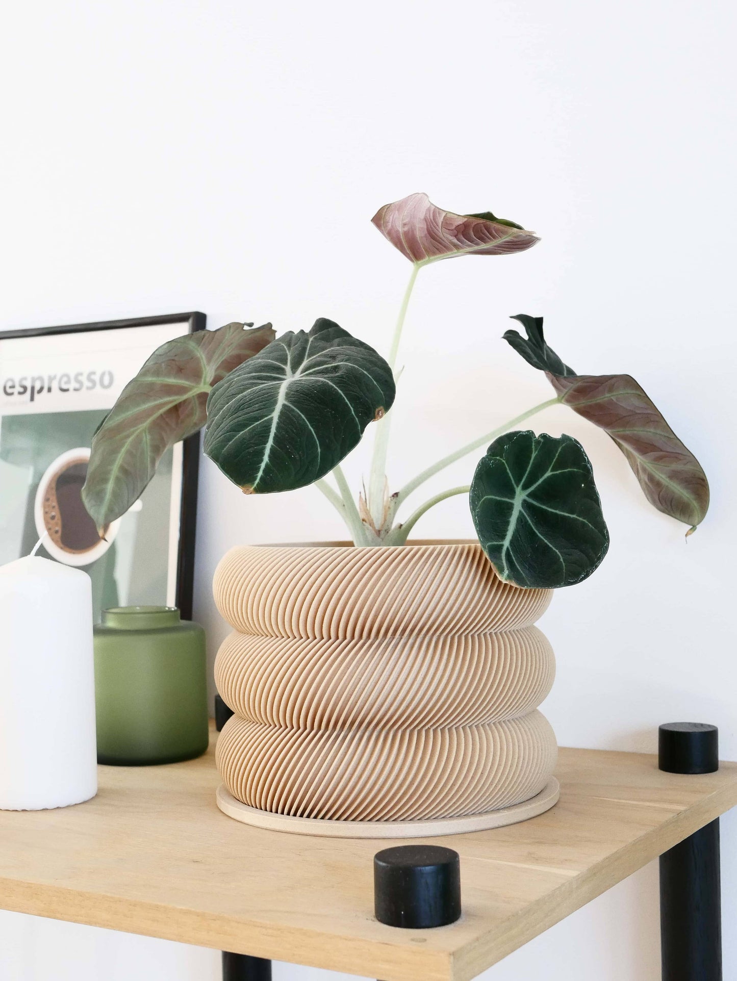 Textuur houten plantenpot - BUBBLES