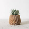 Geometrische houten plantenbak OSLO, ideaal voor groene planten