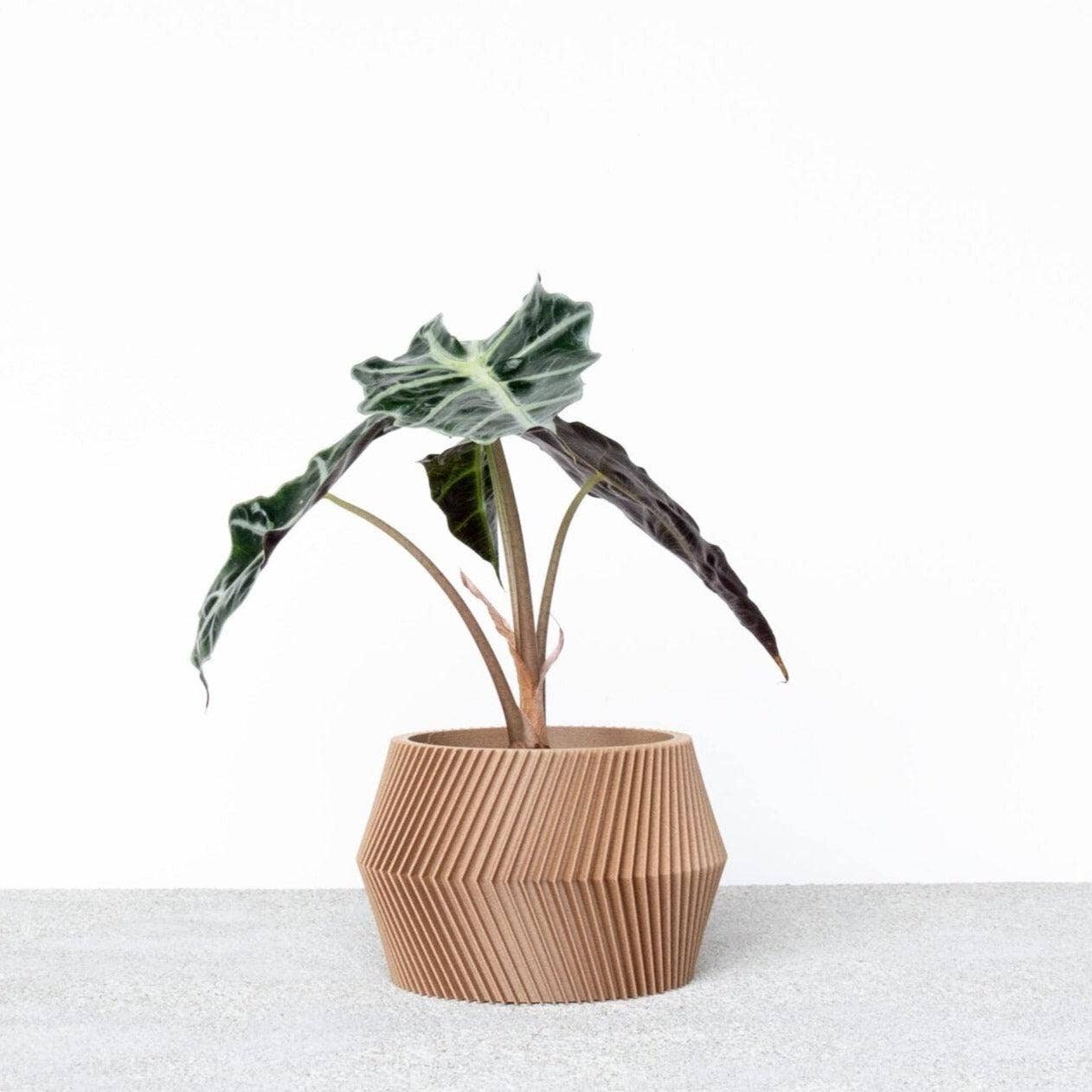 Unieke binnen plantenpot - Beige, zwart, groen, wit, terracotta - DISSIPAT