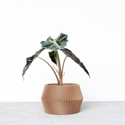 Unieke binnen plantenpot - Beige, zwart, groen, wit, terracotta - DISSIPAT