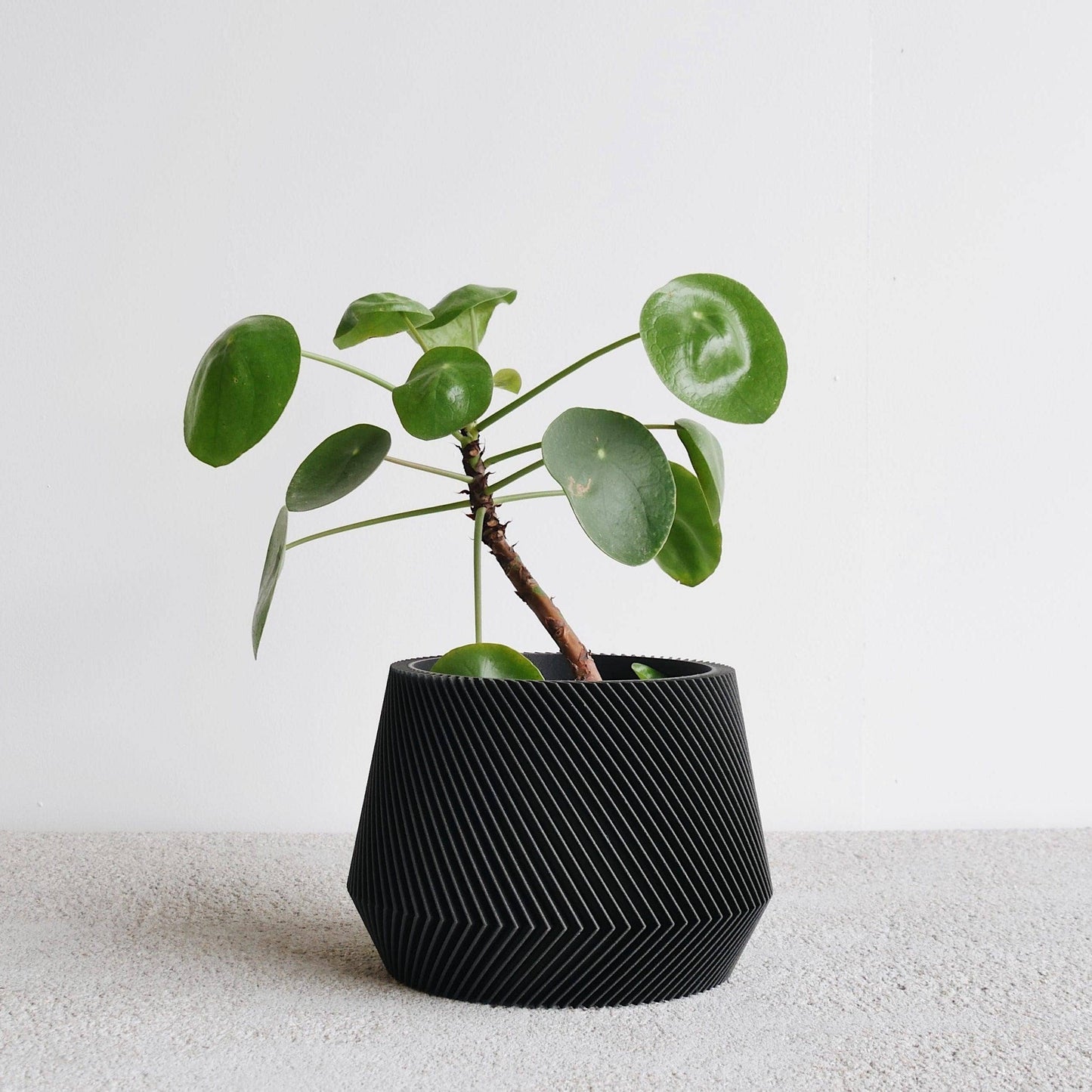 Geometrische houten plantenbak OSLO, ideaal voor groene planten