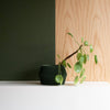 Unieke binnen plantenpot - Beige, zwart, groen, wit, terracotta - DISSIPAT