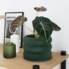 Textuur houten plantenpot - BUBBLES