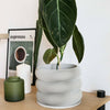 Textuur houten plantenpot - BUBBLES