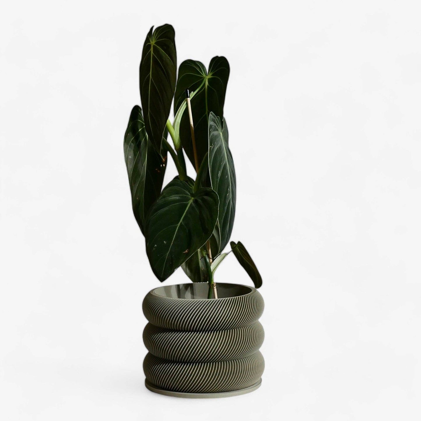 Textuur houten plantenpot - BUBBLES
