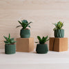 Set van 4 groene kleine binnenpotten – Oslo, Origami, Kobe, Stockholm