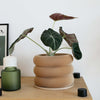 Textuur houten plantenpot - BUBBLES
