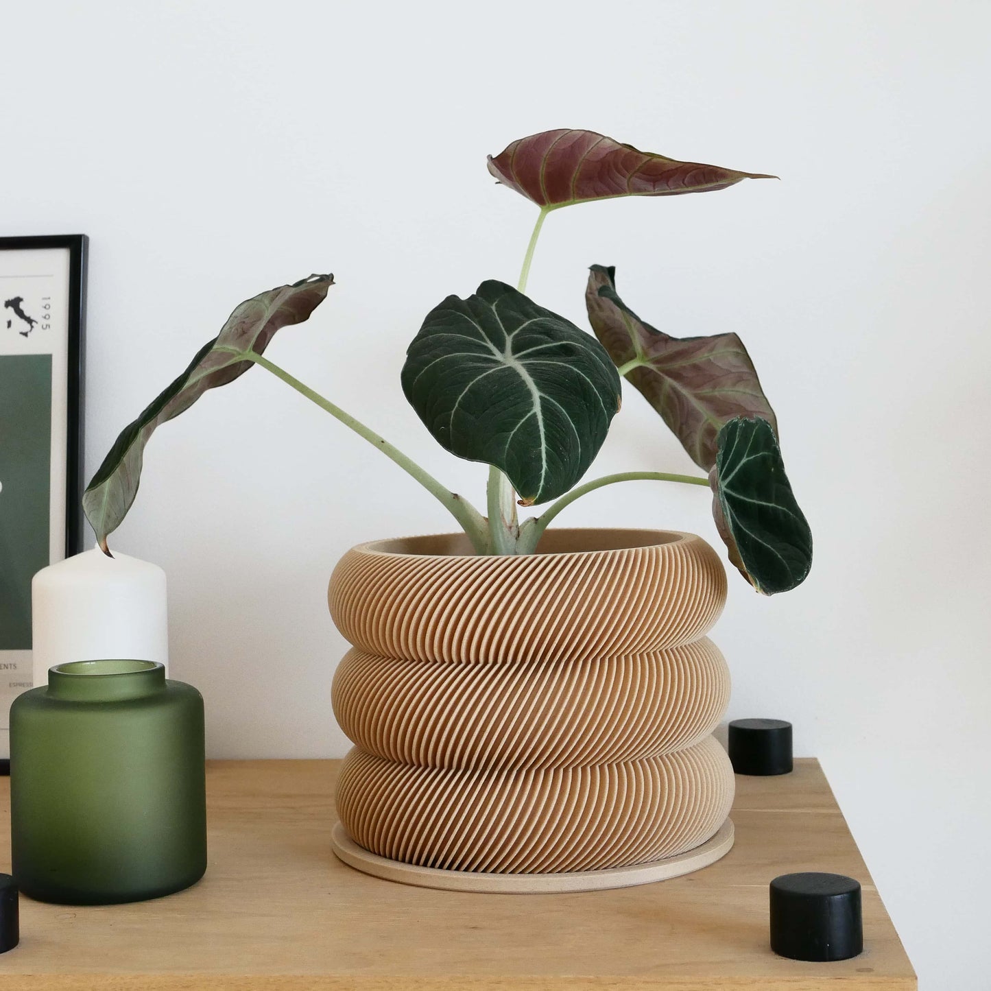 Textuur houten plantenpot - BUBBLES