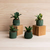 Set van 4 groene kleine binnenpotten – Oslo, Origami, Kobe, Stockholm
