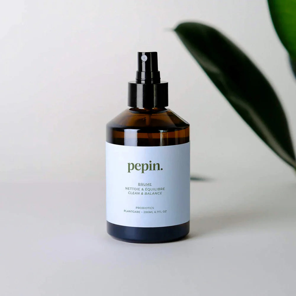 Cleansing Brume Spray