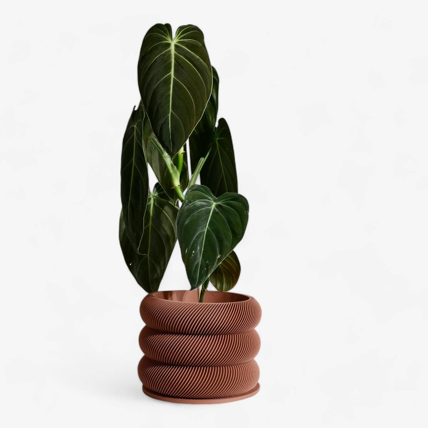 Textuur houten plantenpot - BUBBLES