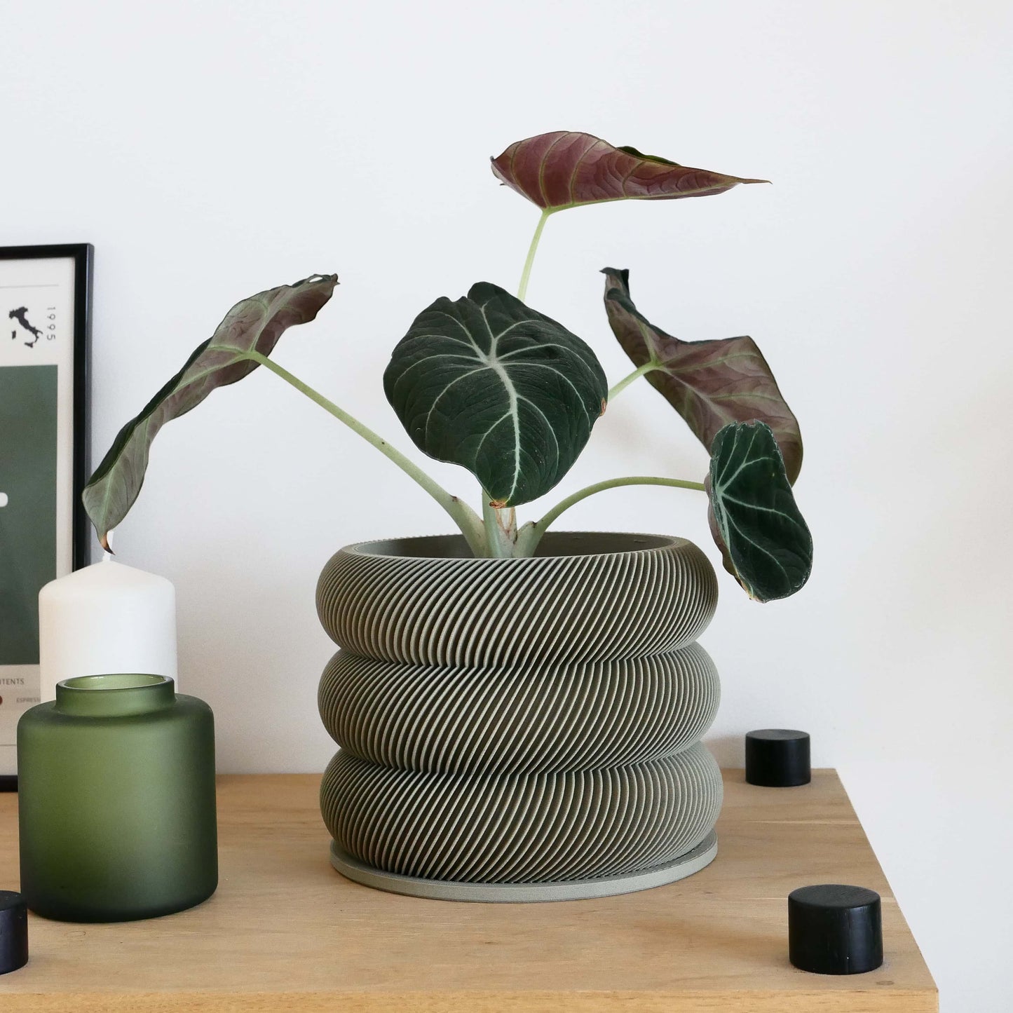 Textuur houten plantenpot - BUBBLES