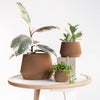Geometrische houten plantenbak OSLO, ideaal voor groene planten