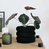 Textuur houten plantenpot - BUBBLES