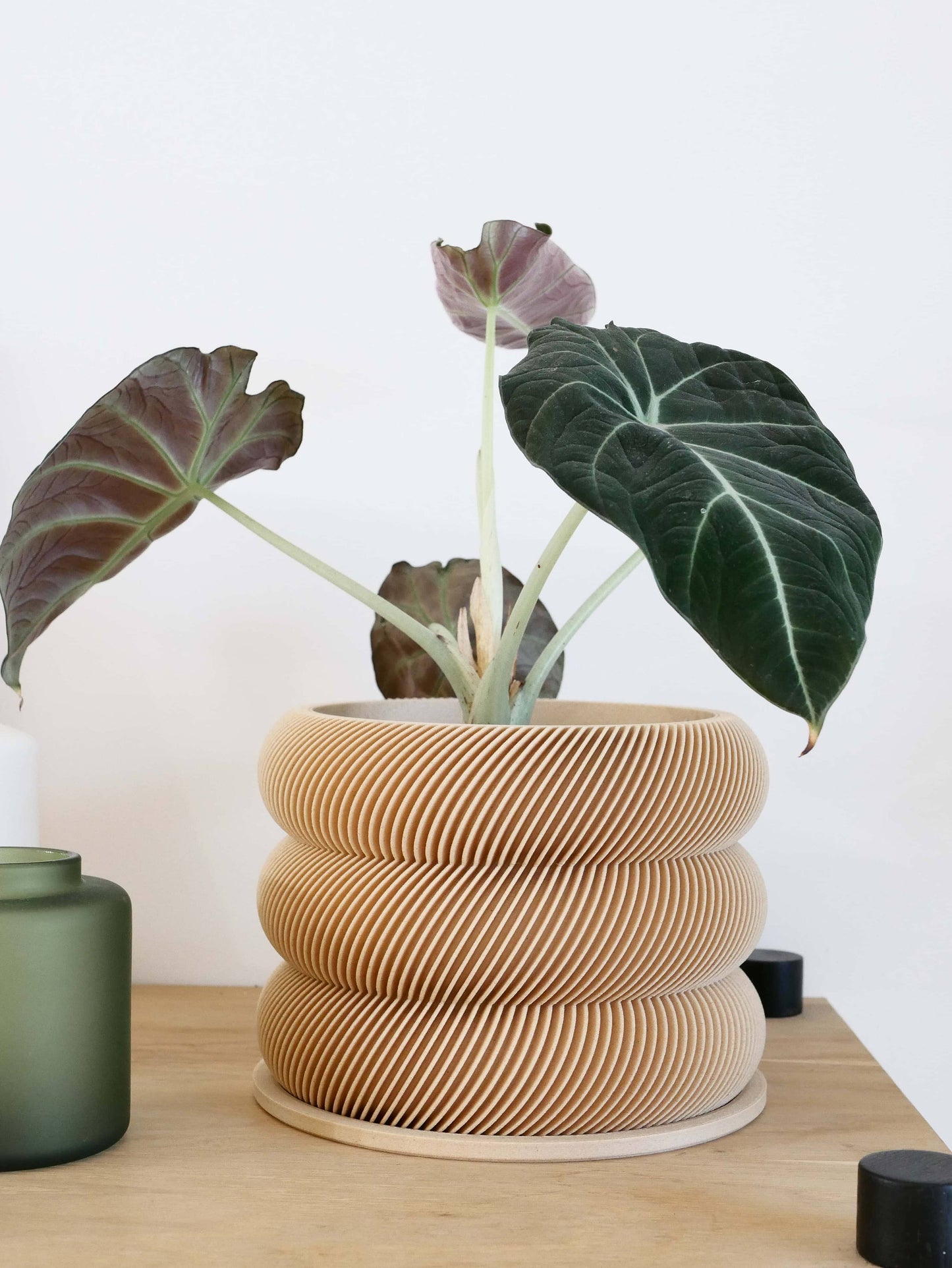 Textuur houten plantenpot - BUBBLES