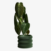 Textuur houten plantenpot - BUBBLES