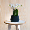 Geometrische houten plantenbak OSLO, ideaal voor groene planten