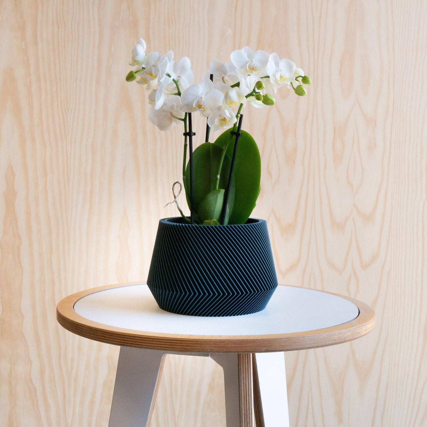 Geometrische houten plantenbak OSLO, ideaal voor groene planten