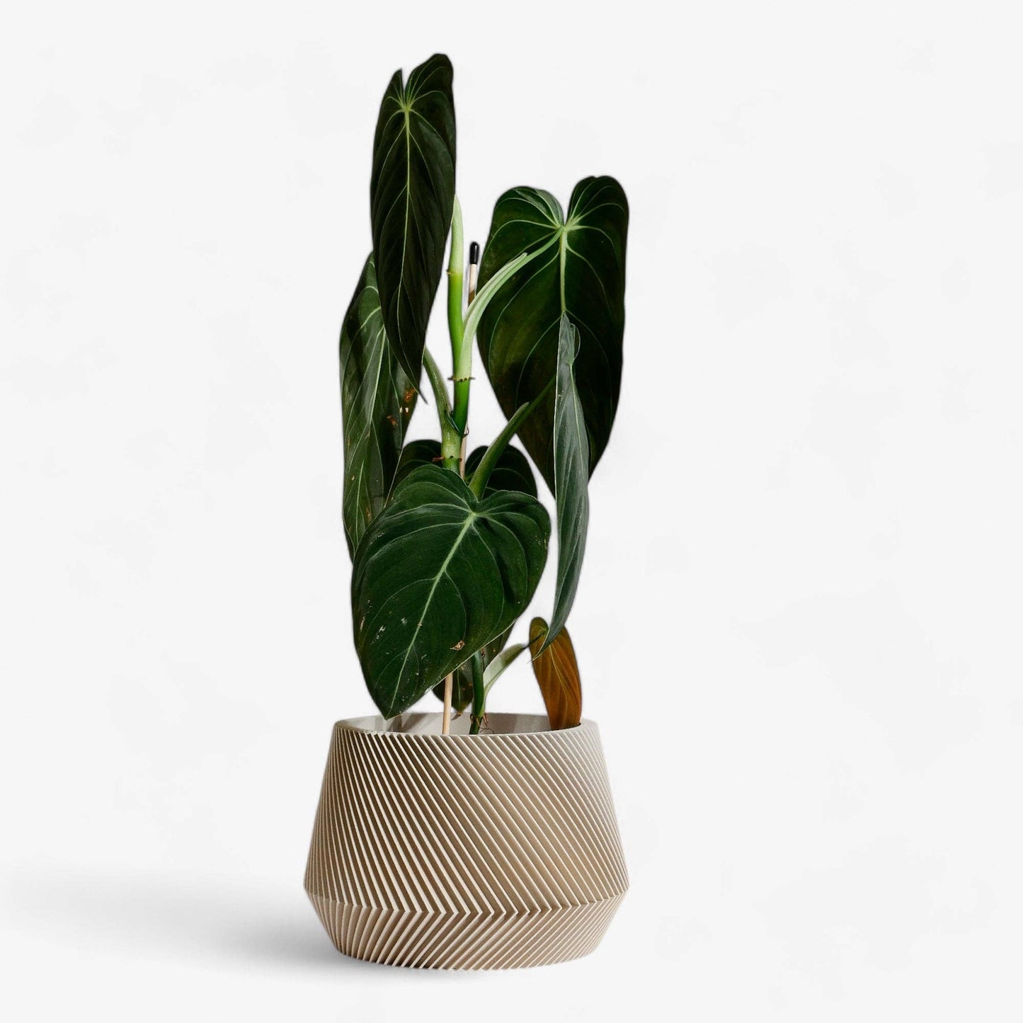 Geometrische houten plantenbak OSLO, ideaal voor groene planten