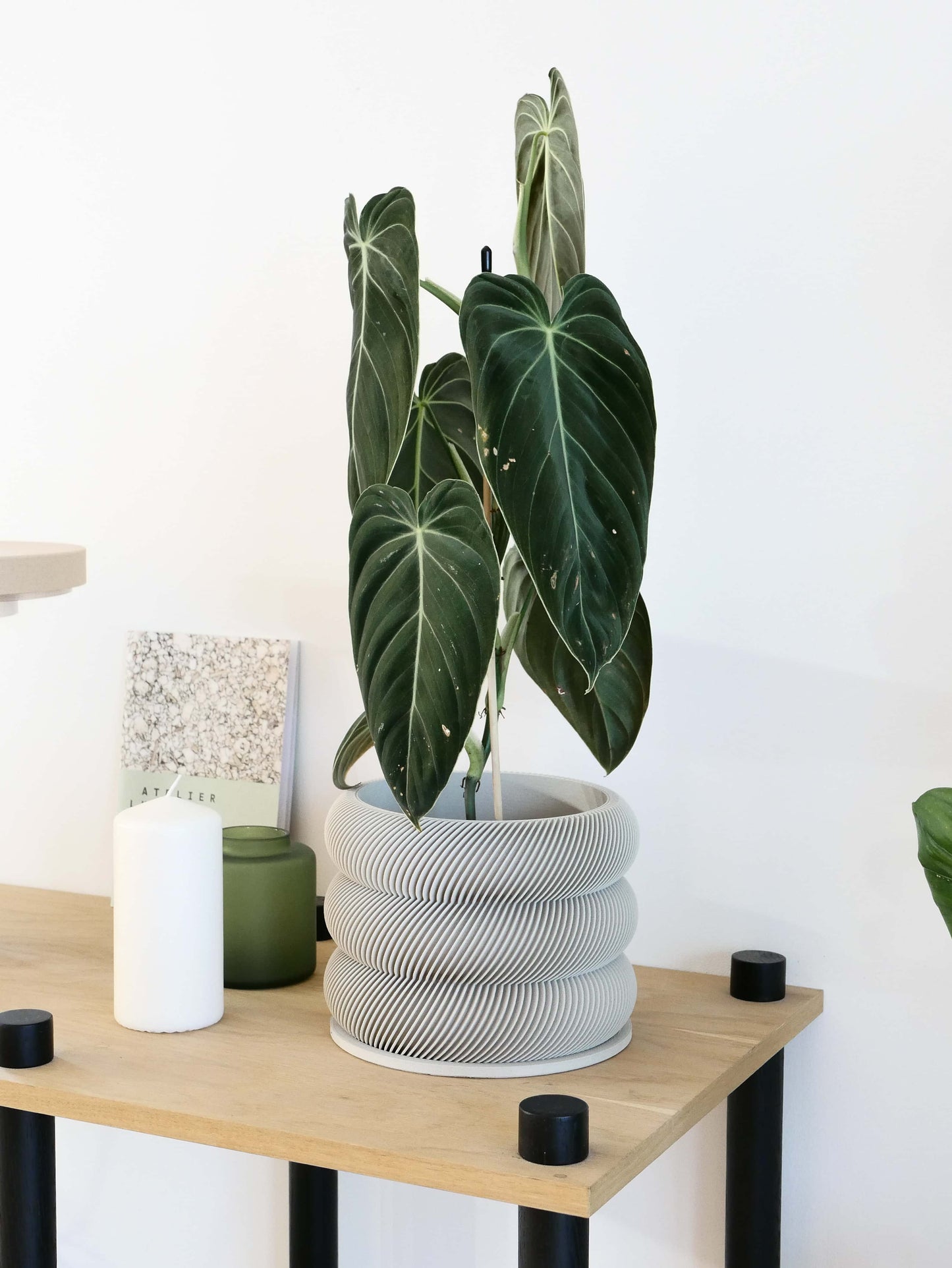 Textuur houten plantenpot - BUBBLES