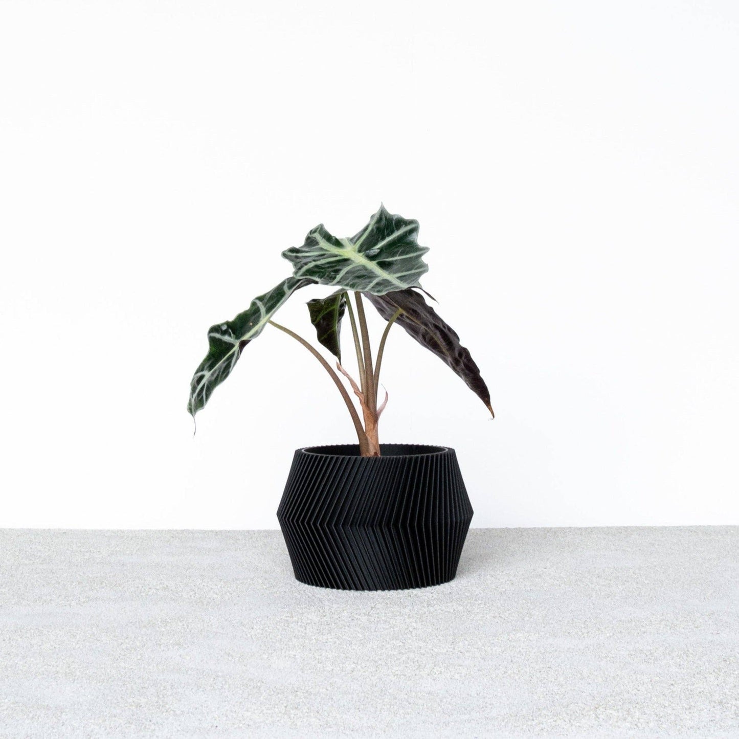 Unieke binnen plantenpot - Beige, zwart, groen, wit, terracotta - DISSIPAT