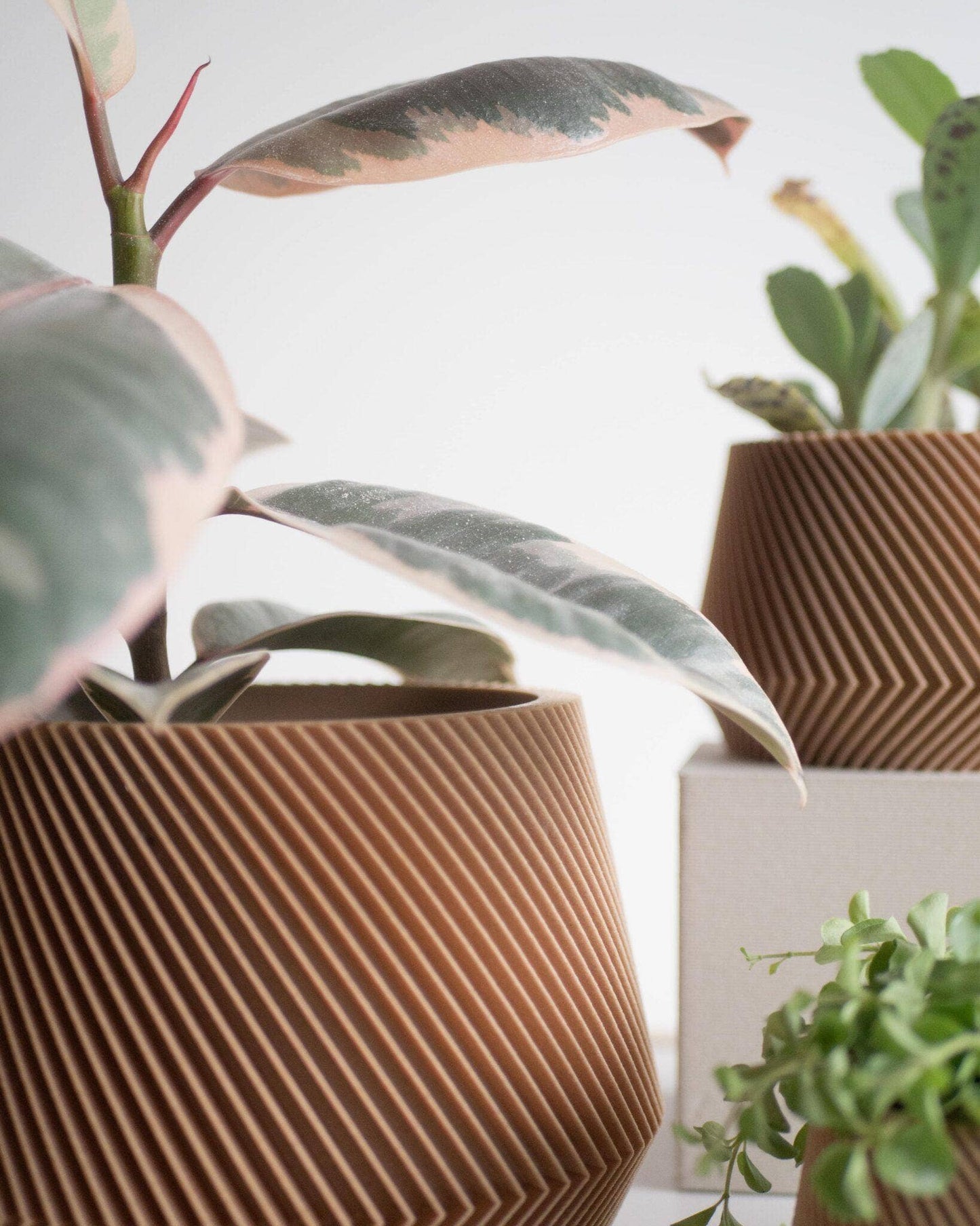 Geometrische houten plantenbak OSLO, ideaal voor groene planten