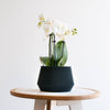 Geometrische houten plantenbak OSLO, ideaal voor groene planten