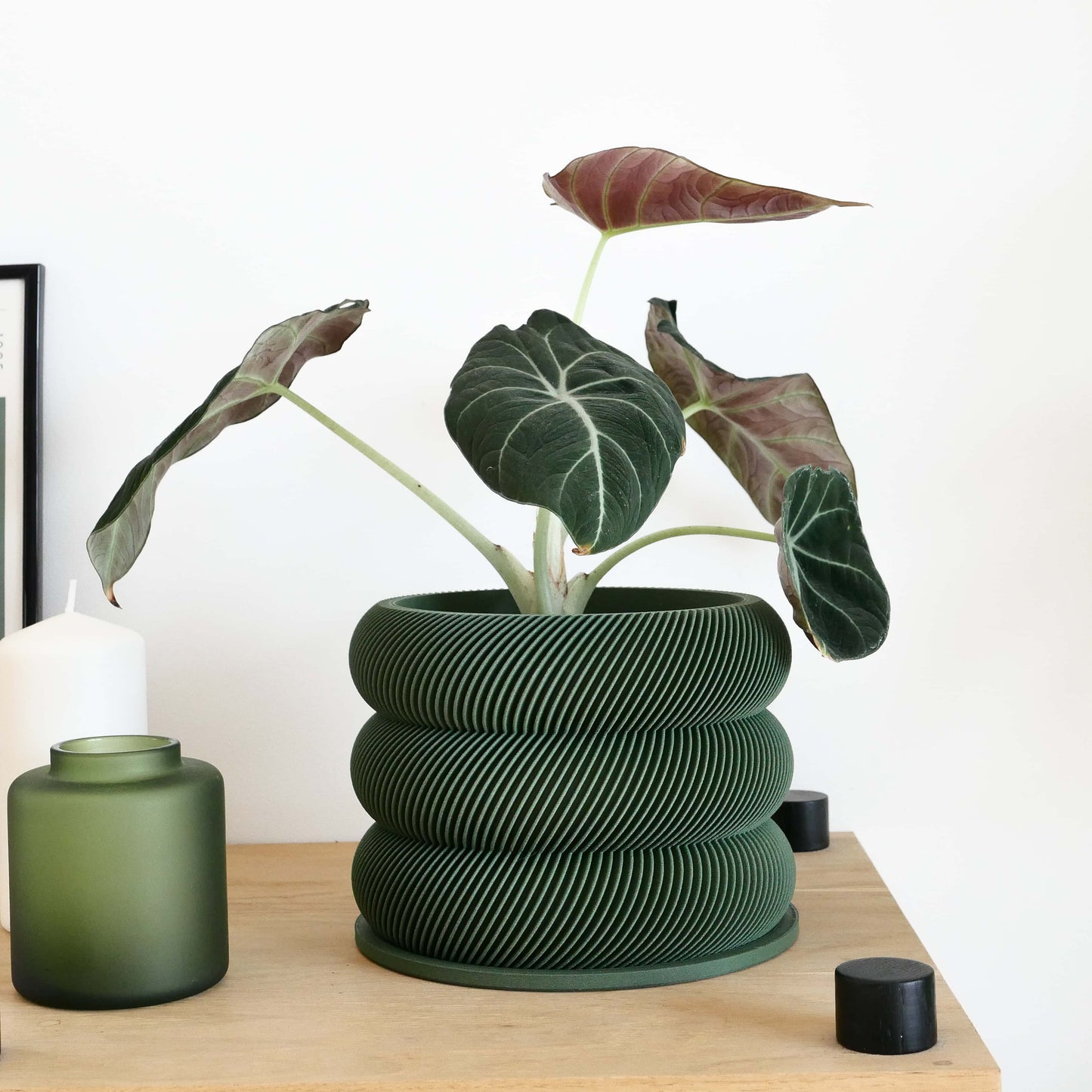 Textuur houten plantenpot - BUBBLES