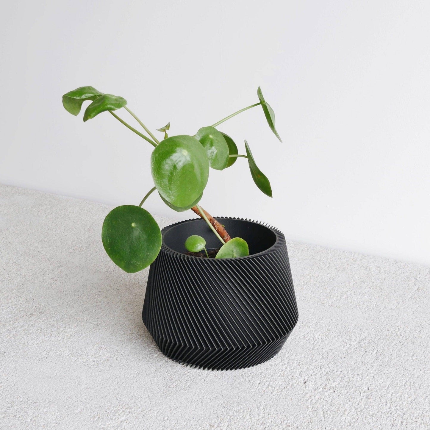 Geometrische houten plantenbak OSLO, ideaal voor groene planten