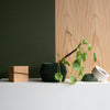 Unieke binnen plantenpot - Beige, zwart, groen, wit, terracotta - DISSIPAT