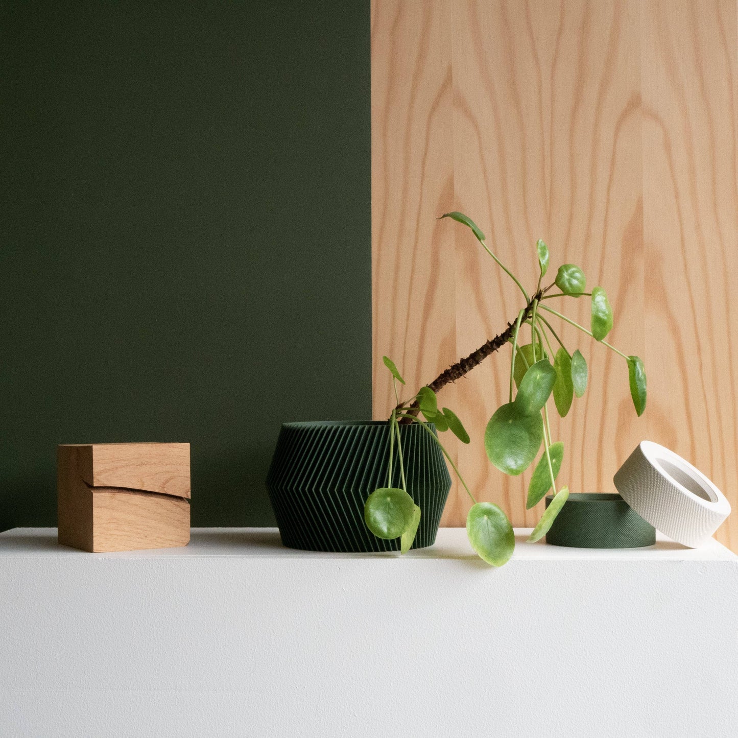Unieke binnen plantenpot - Beige, zwart, groen, wit, terracotta - DISSIPAT